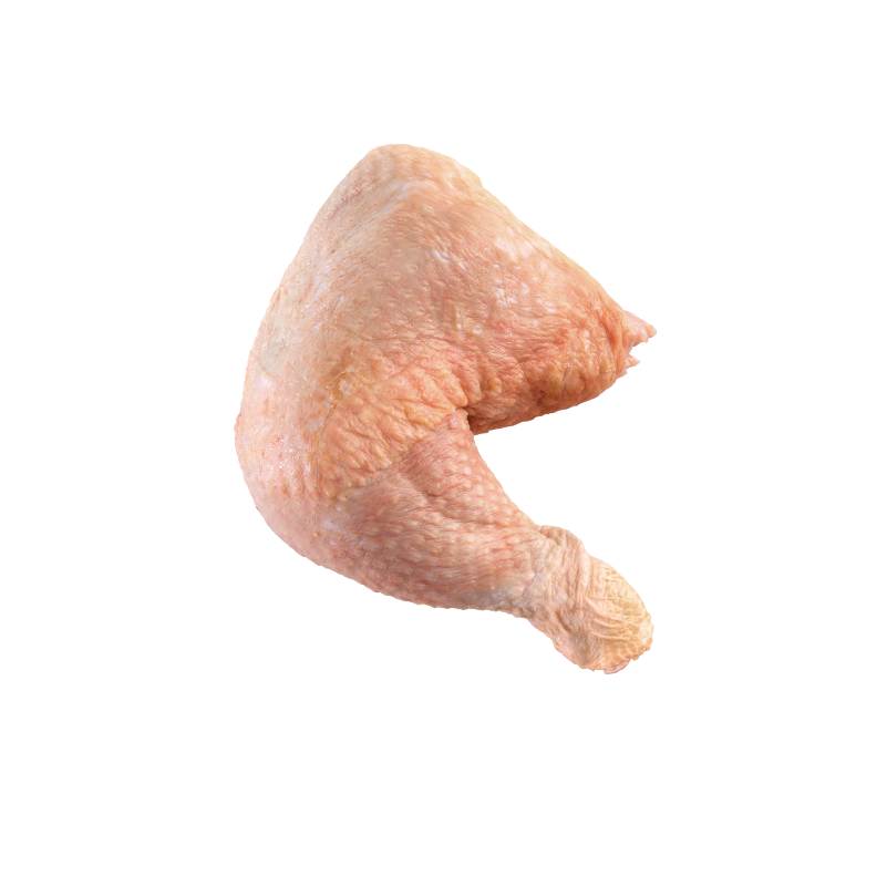 Patamuslo corte americano x 1K